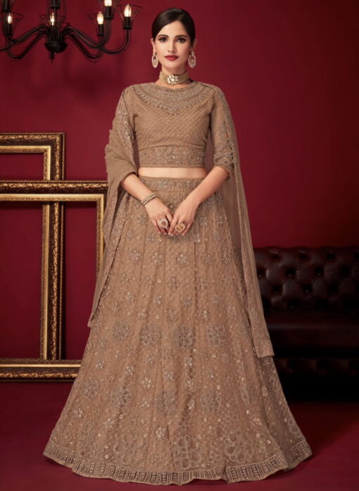 Brown Net Party Wear Lehenga Choli