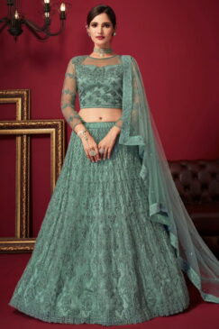 Sea Green Net Parry Wear Lehenga Choli