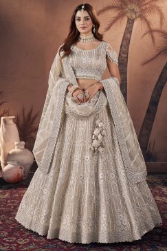 Beige Heavy Embroidered Net Bridal Lehenga Choli
