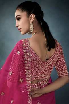 Alternative view of Pink Embroidered Tissue Wedding Saree