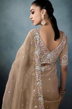 Alternative view of Beige Embroidered Tissue Wedding Saree