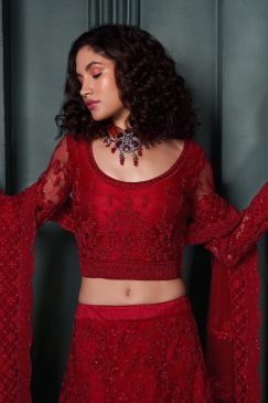 Alternative view of Red Net Bridal Lehenga Choli