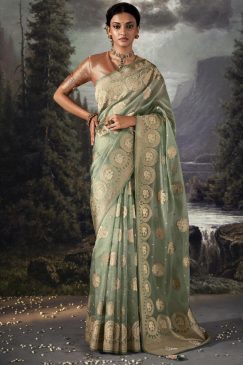 Light Green Embroidered Banarasi Wedding Saree