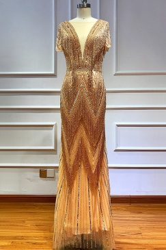 Gold Tassel Luxury Evening Dress