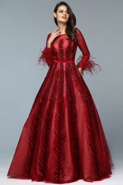 Red Wine Feather Sleeve Embellished Dress