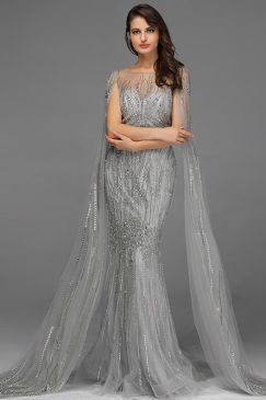 Silver Princess Floor Touching Sleeve Beaded Dress