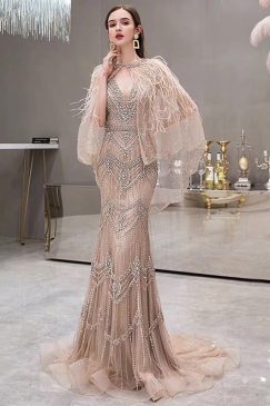 Feathered Cape Trail Back Diamond Evening Dress