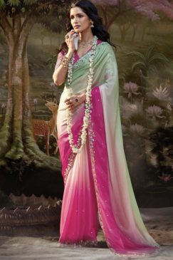 Multi Coloured Embroidered Wedding Saree