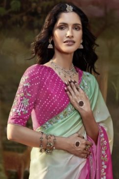 Alternative view of Multi Coloured Embroidered Wedding Saree