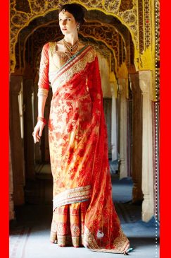 Orange Net And Georgette Saree